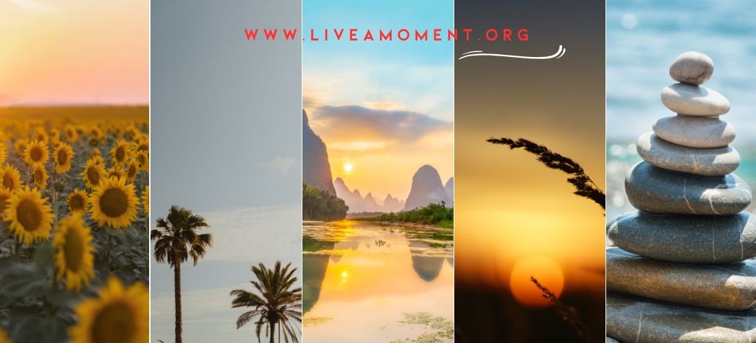 www.liveamoment.org: A Platform for Mindful Living